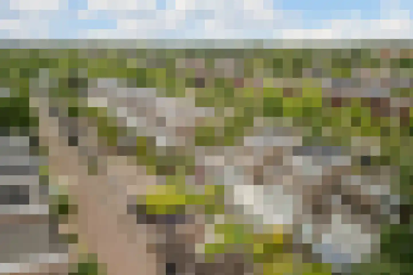 Meerhovendreef 20 Eindhoven thumbnail 36
