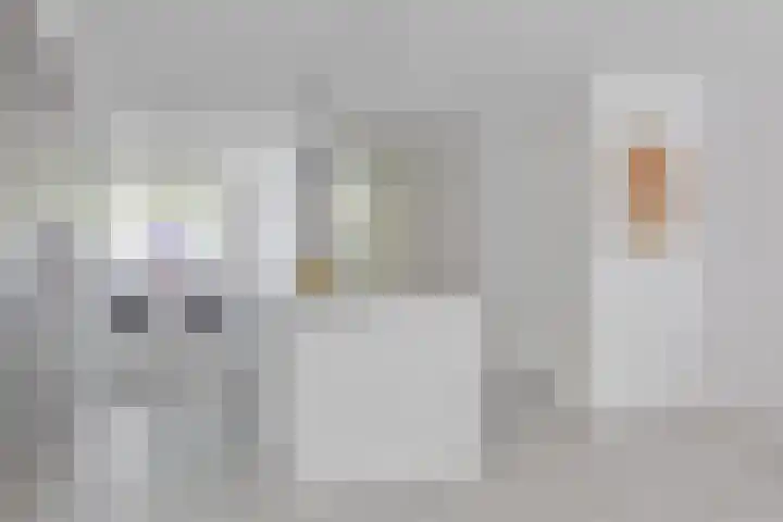 Meerhovendreef 62 Eindhoven thumbnail 13