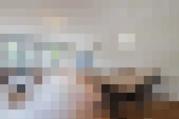 Meerhovendreef 74 Eindhoven thumbnail 12