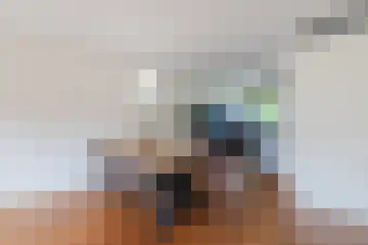 Meerhovendreef 74 Eindhoven thumbnail 13