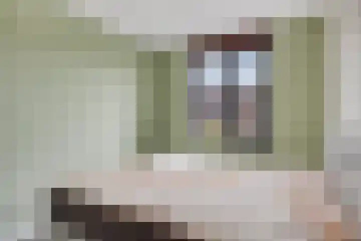 Meerhovendreef 86 Eindhoven thumbnail 17