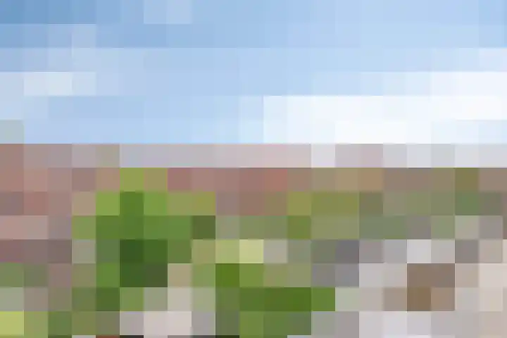 Meerhovendreef 86 Eindhoven thumbnail 30