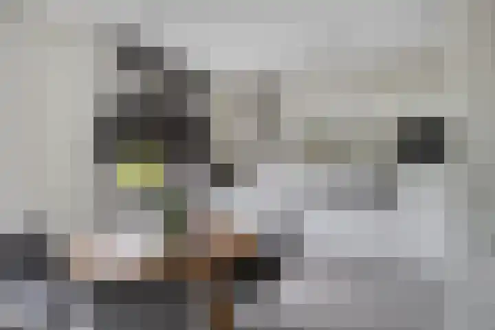 Meerhovendreef 98 Eindhoven thumbnail 11