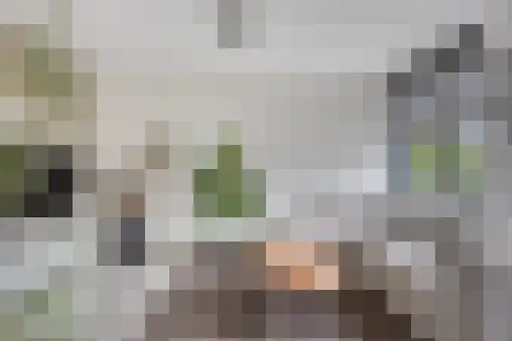 Meerhovendreef 98 Eindhoven thumbnail 12