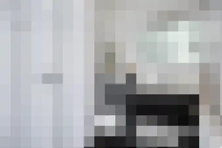 Meerhovendreef 98 Eindhoven thumbnail 17