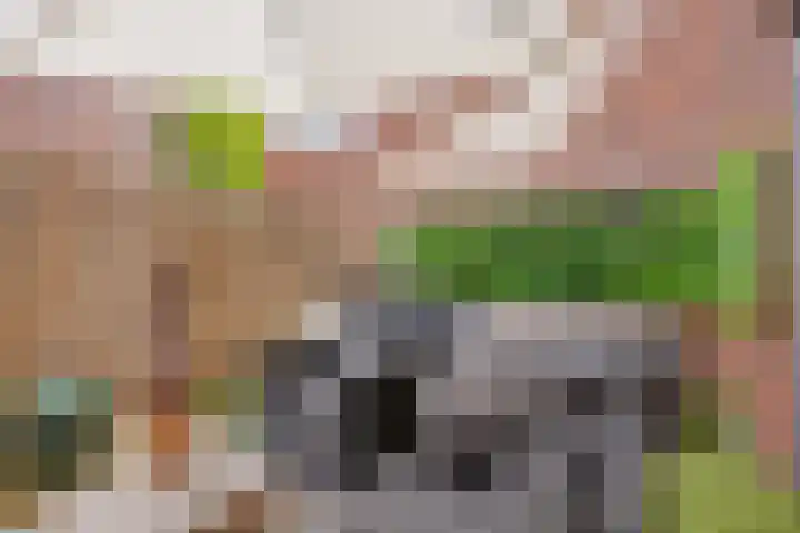 Meerhovendreef 98 Eindhoven thumbnail 20