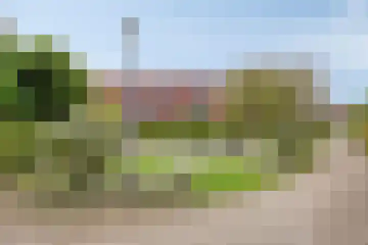 Meerhovendreef 98 Eindhoven thumbnail 24
