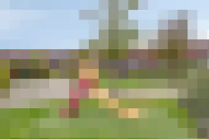 Meerhovendreef 98 Eindhoven thumbnail 25