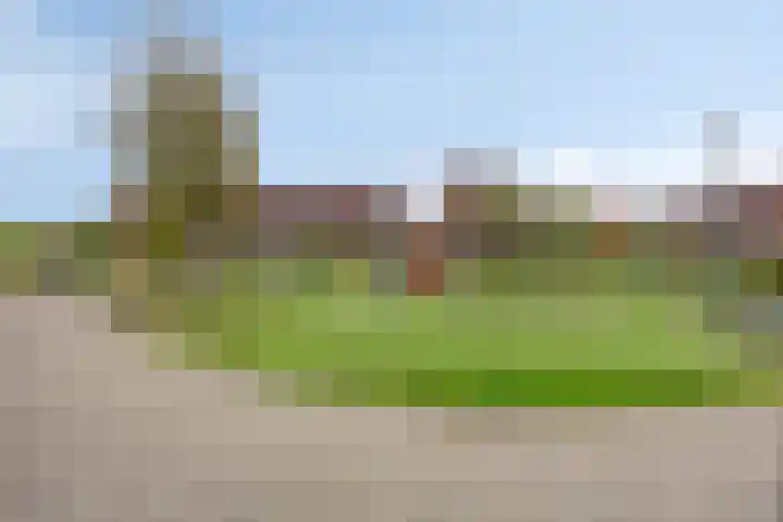 Meerhovendreef 98 Eindhoven thumbnail 26