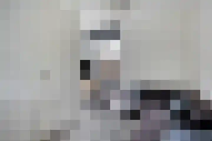 Meerhovendreef 98 Eindhoven thumbnail 6
