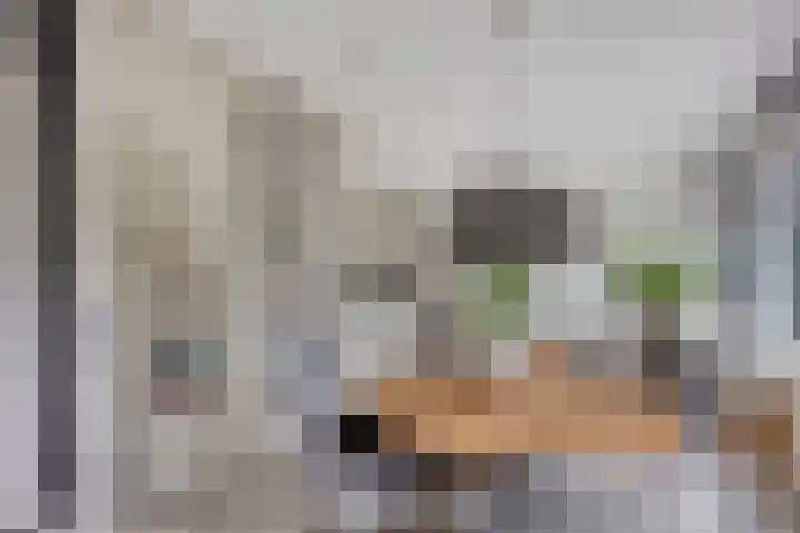 Meerhovendreef 98 Eindhoven thumbnail 8