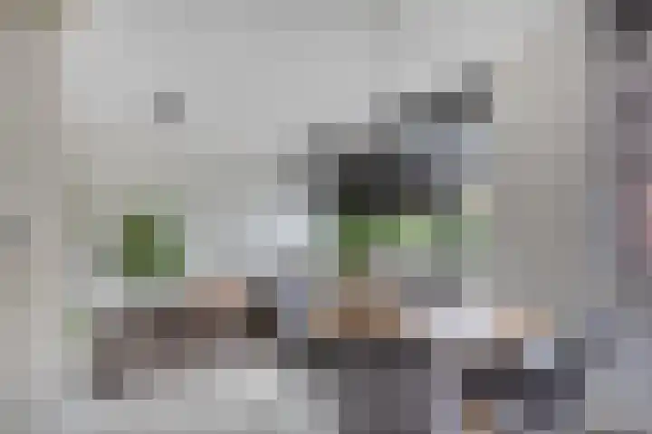 Meerhovendreef 98 Eindhoven thumbnail 9