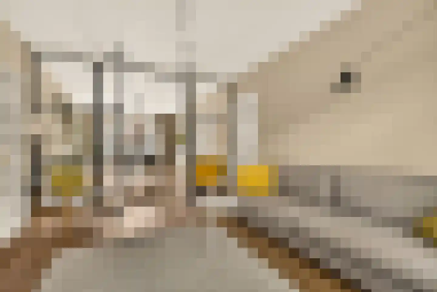 Meerhuizenstraat 27 3 Amsterdam thumbnail 5