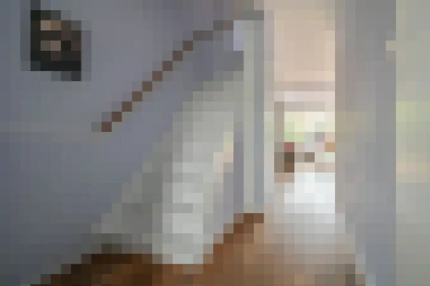 Meerhuysen 13 Amstelveen thumbnail 14
