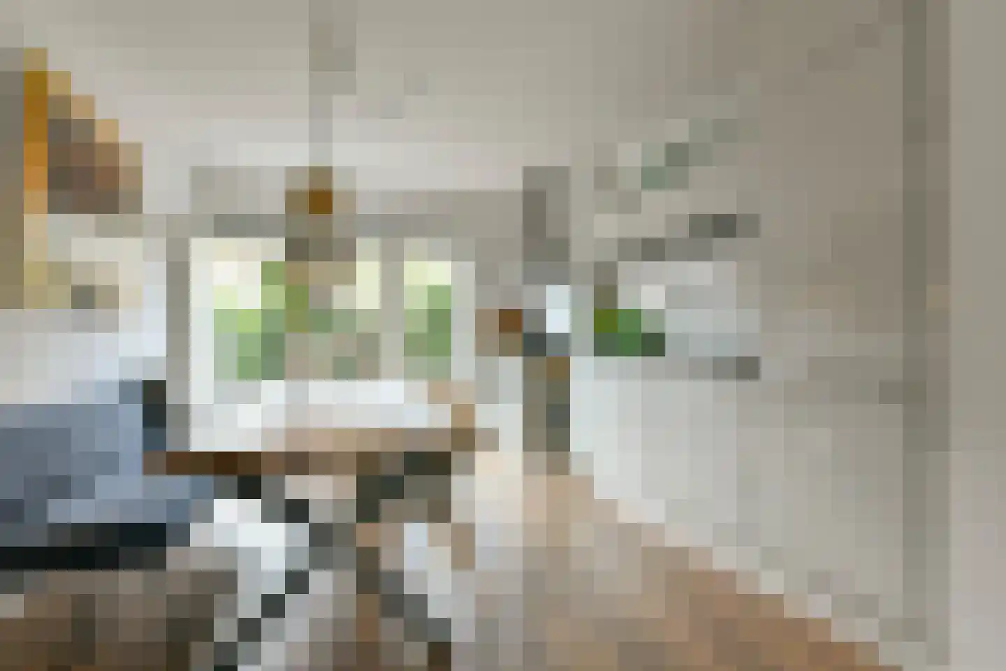 Meerhuysen 6 Amstelveen thumbnail 13