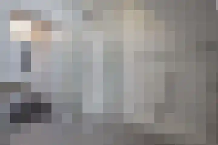 Meerkamp 1 c Heythuysen thumbnail 11