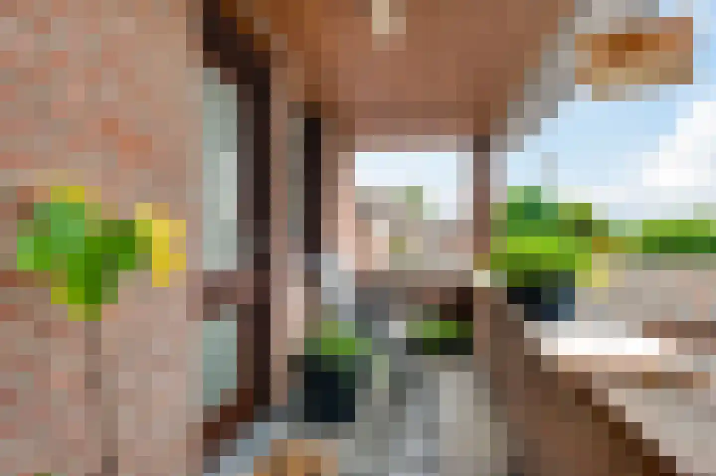 Meerkamp 1 d Heythuysen thumbnail 5