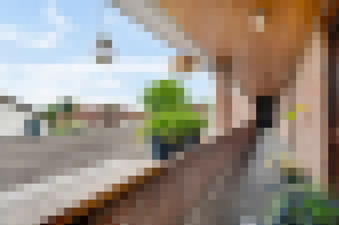 Meerkamp 1 d Heythuysen thumbnail 6