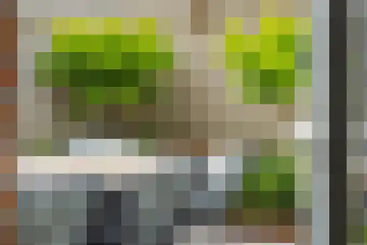 Meerkensloop 23 Heesch thumbnail 19