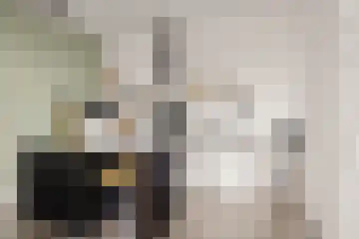 Meerkensloop 23 Heesch foto 2