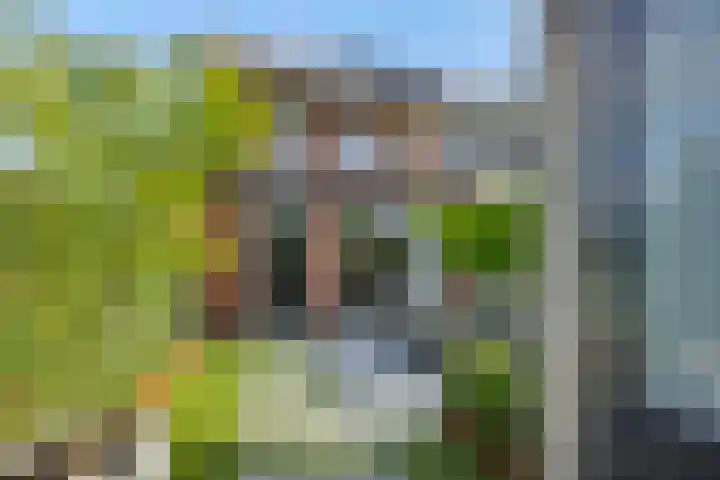 Meerkensloop 23 Heesch thumbnail 23