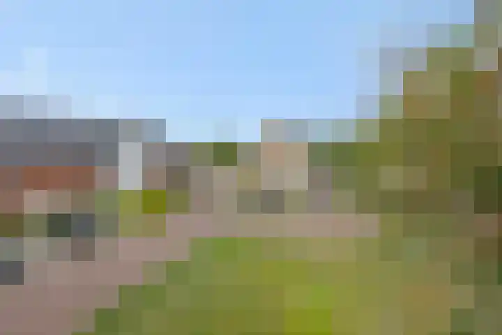 Meerkensloop 23 Heesch thumbnail 34