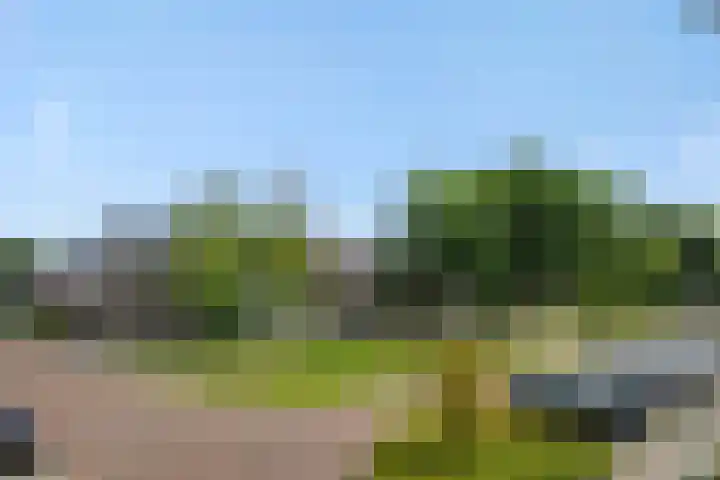 Meerkensloop 23 Heesch thumbnail 36