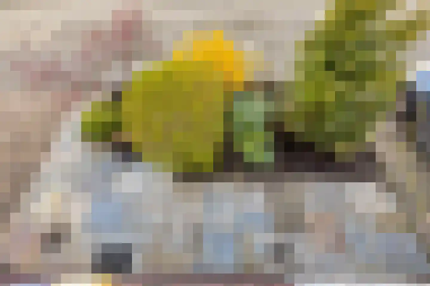 Meerkerkstraat 5 Zoetermeer thumbnail 31