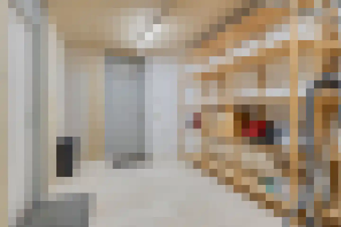 Meerkerkstraat 5 Zoetermeer thumbnail 40