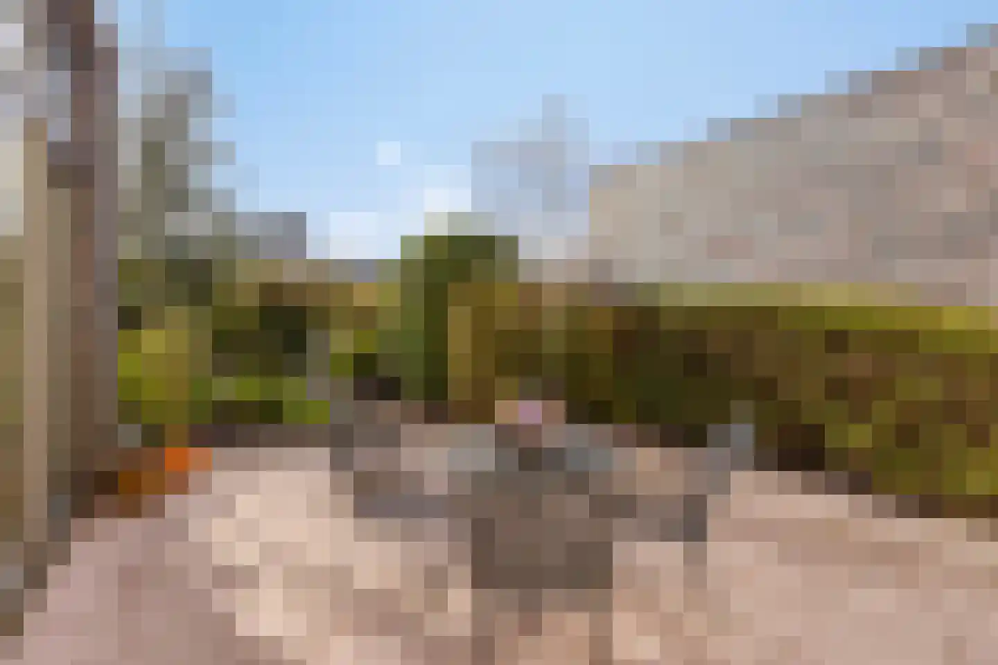 Meerkerkstraat 5 Zoetermeer thumbnail 5