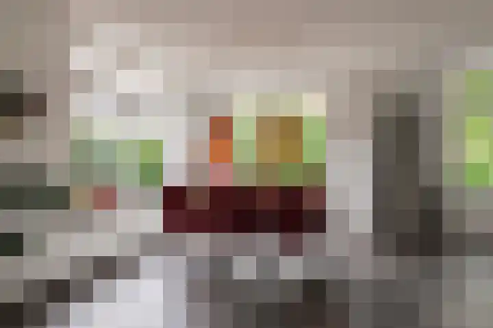 Meerkikkerstraat 2 Culemborg thumbnail 13