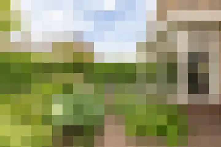 Meerkikkerstraat 2 Culemborg thumbnail 20