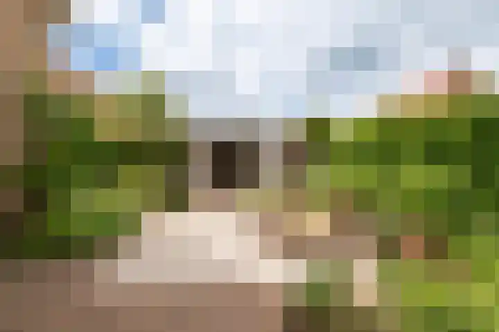 Meerkikkerstraat 2 Culemborg thumbnail 21