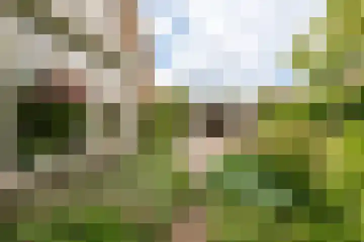 Meerkikkerstraat 2 Culemborg thumbnail 22