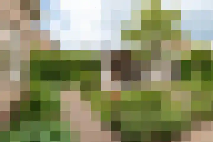 Meerkikkerstraat 2 Culemborg thumbnail 23