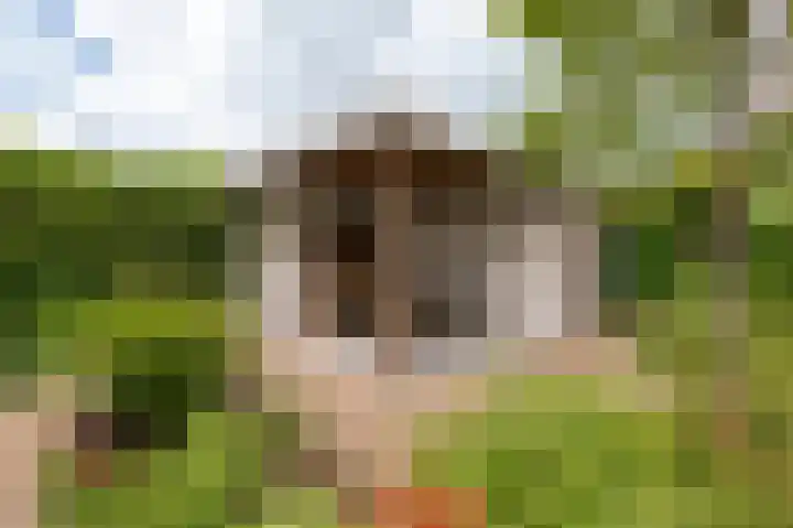 Meerkikkerstraat 2 Culemborg thumbnail 24
