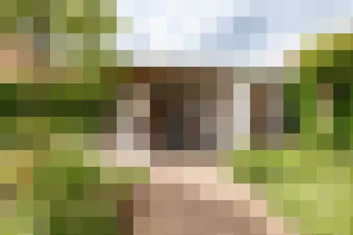 Meerkikkerstraat 2 Culemborg thumbnail 25