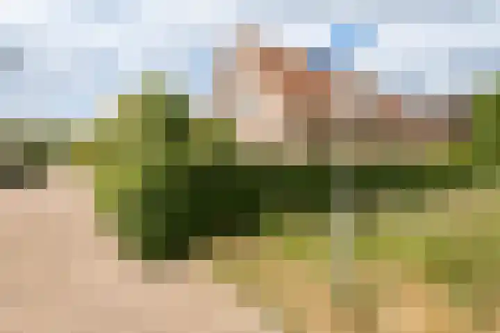 Meerkikkerstraat 2 Culemborg thumbnail 4