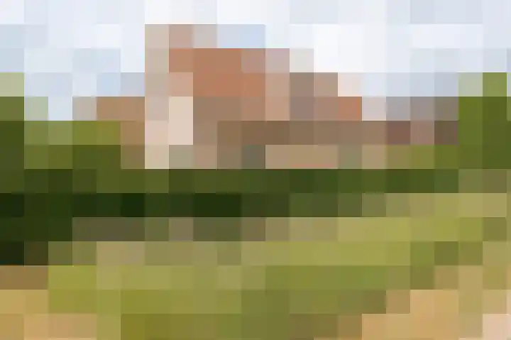 Meerkikkerstraat 2 Culemborg thumbnail 50