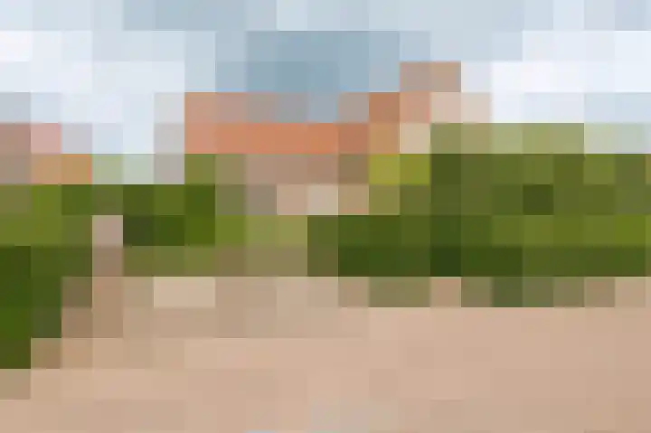 Meerkikkerstraat 2 Culemborg thumbnail 52