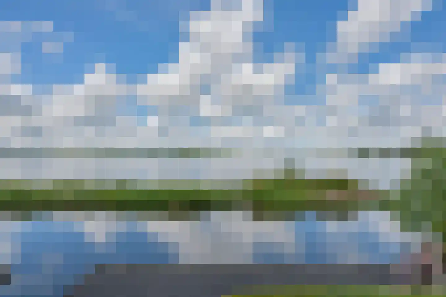 Meerkoet 1 Blauwestad thumbnail 37