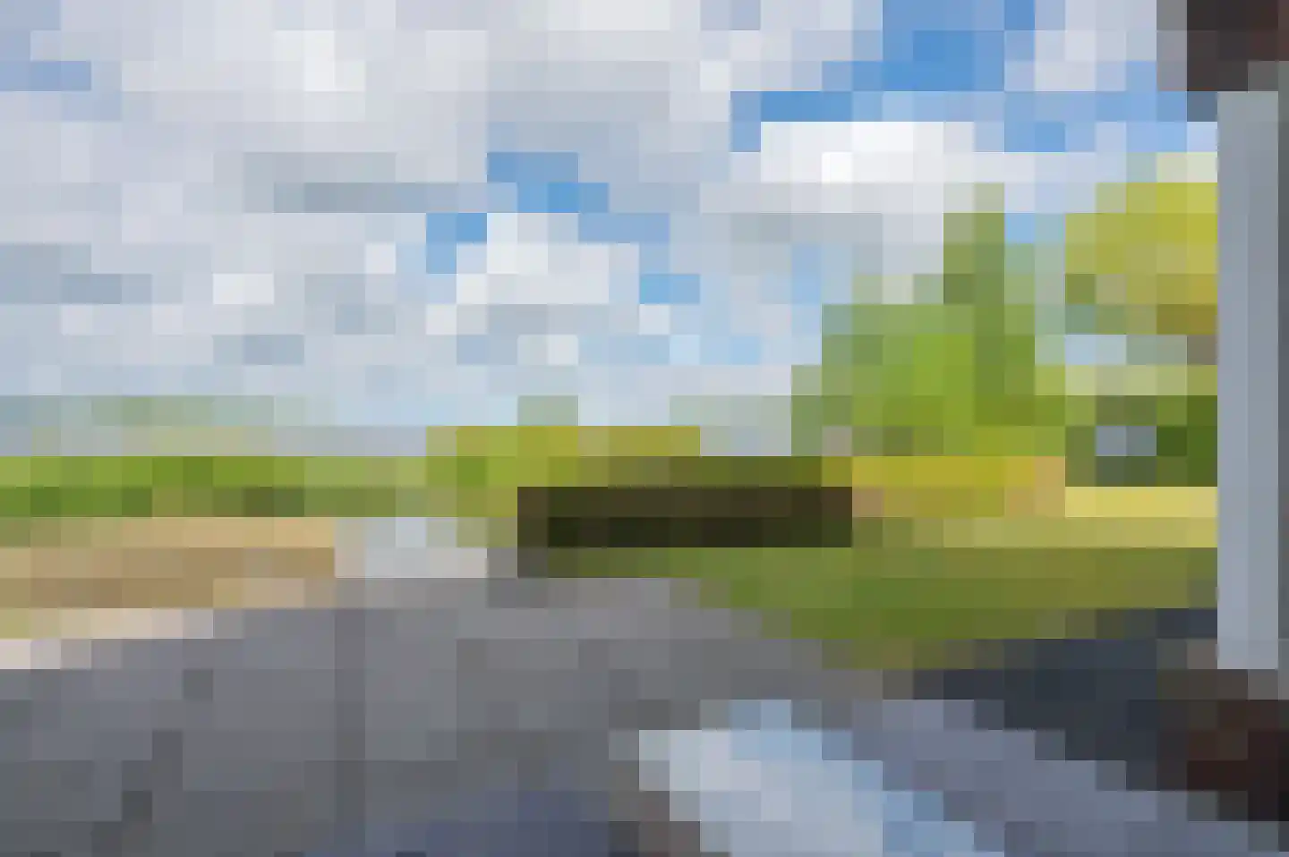 Meerkoet 1 Blauwestad thumbnail 55