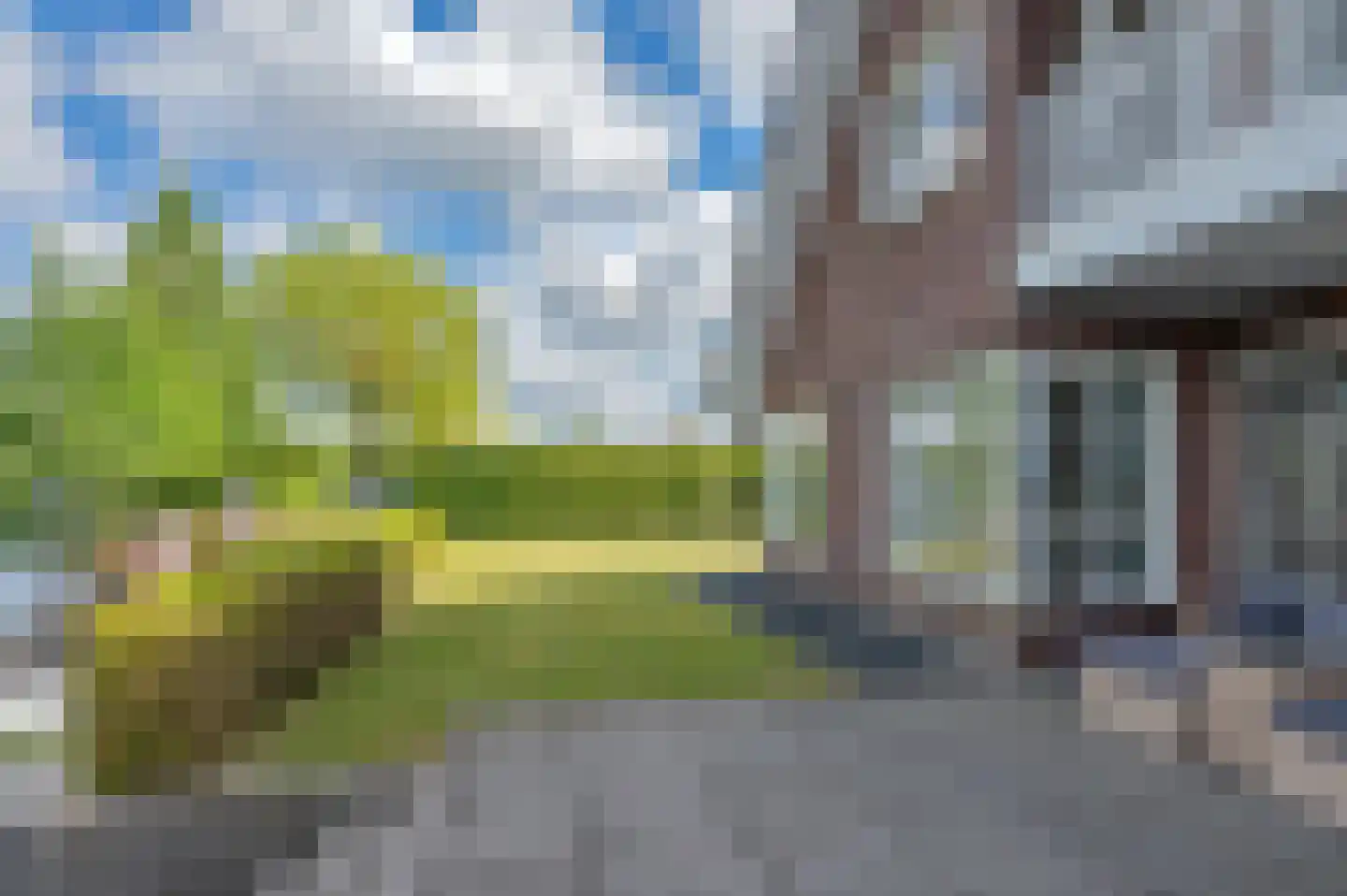 Meerkoet 1 Blauwestad thumbnail 57