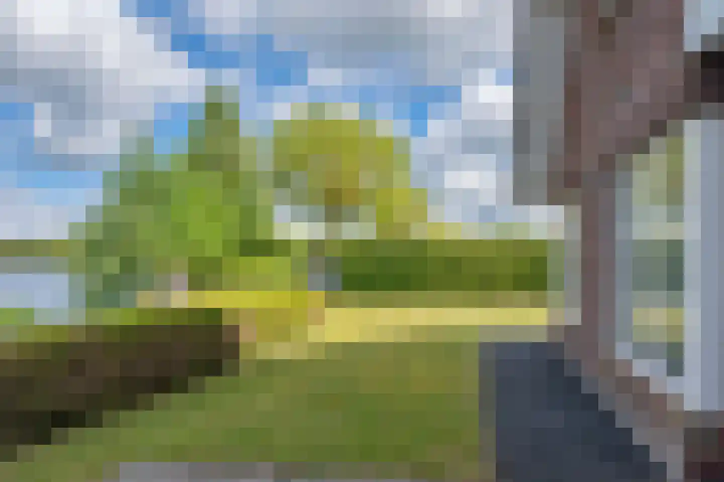 Meerkoet 1 Blauwestad thumbnail 58