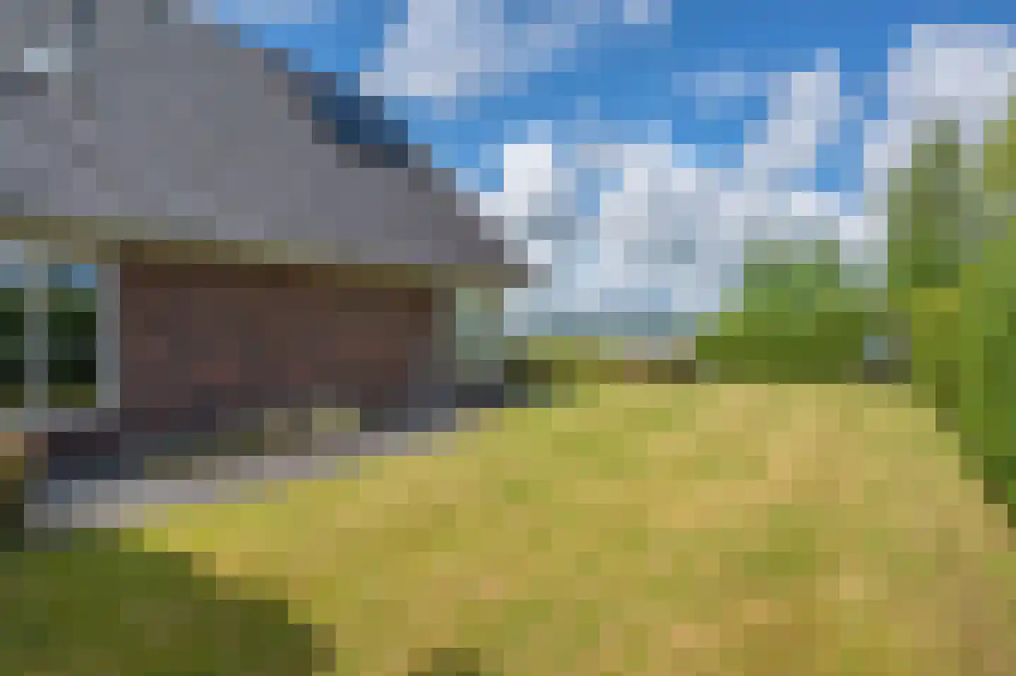 Meerkoet 1 Blauwestad thumbnail 60