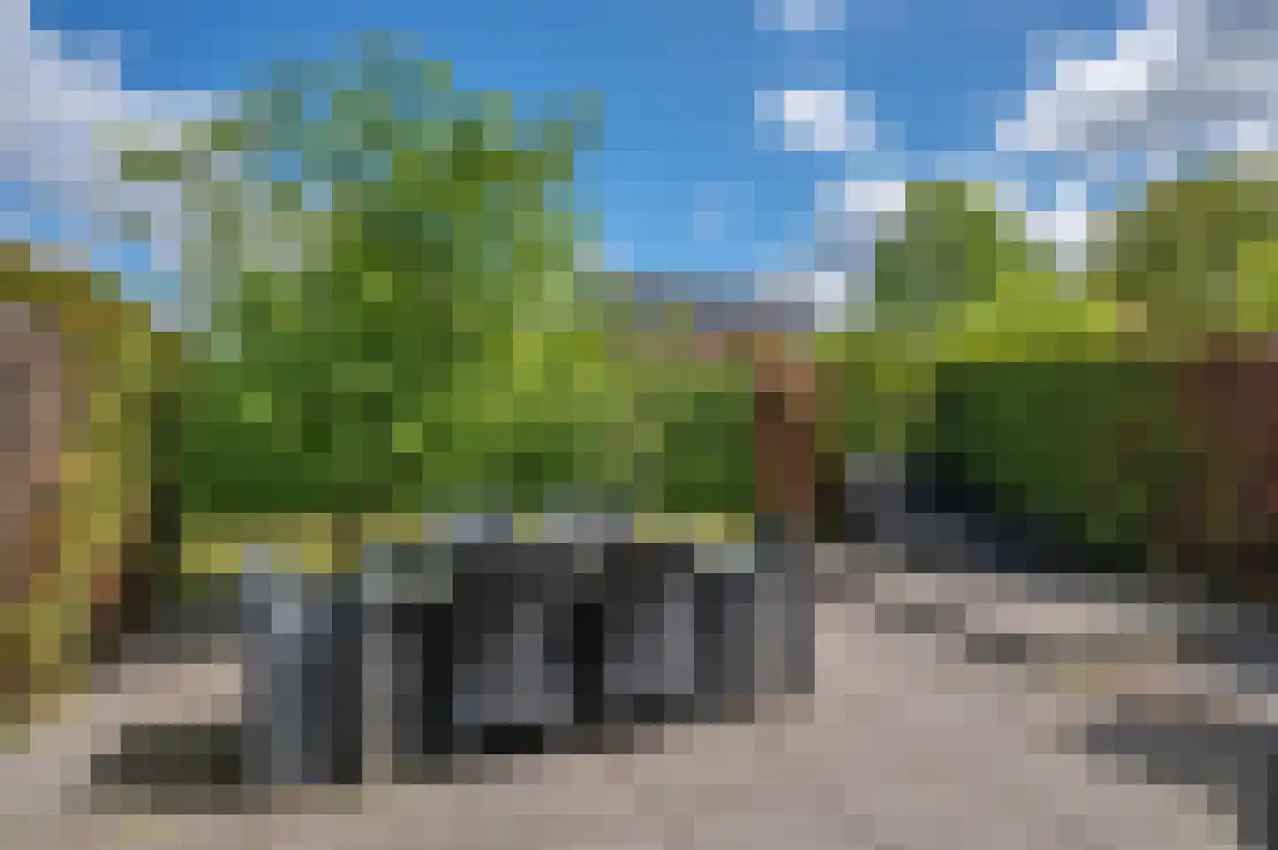 Meerkoet 1 Blauwestad thumbnail 63