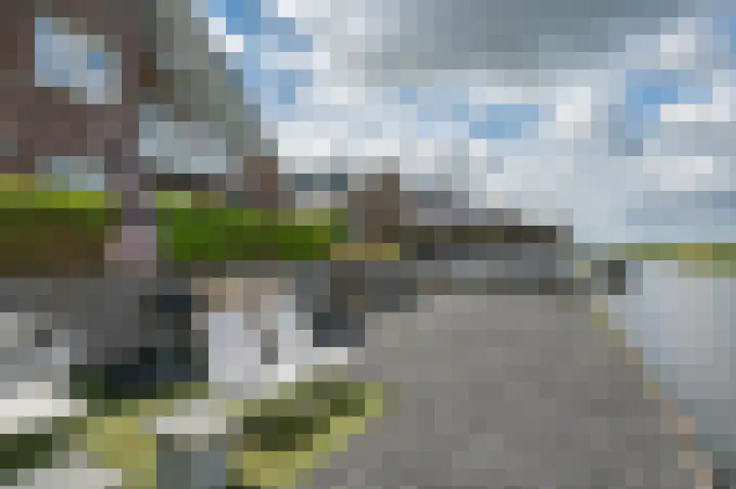 Meerkoet 1 Blauwestad thumbnail 65