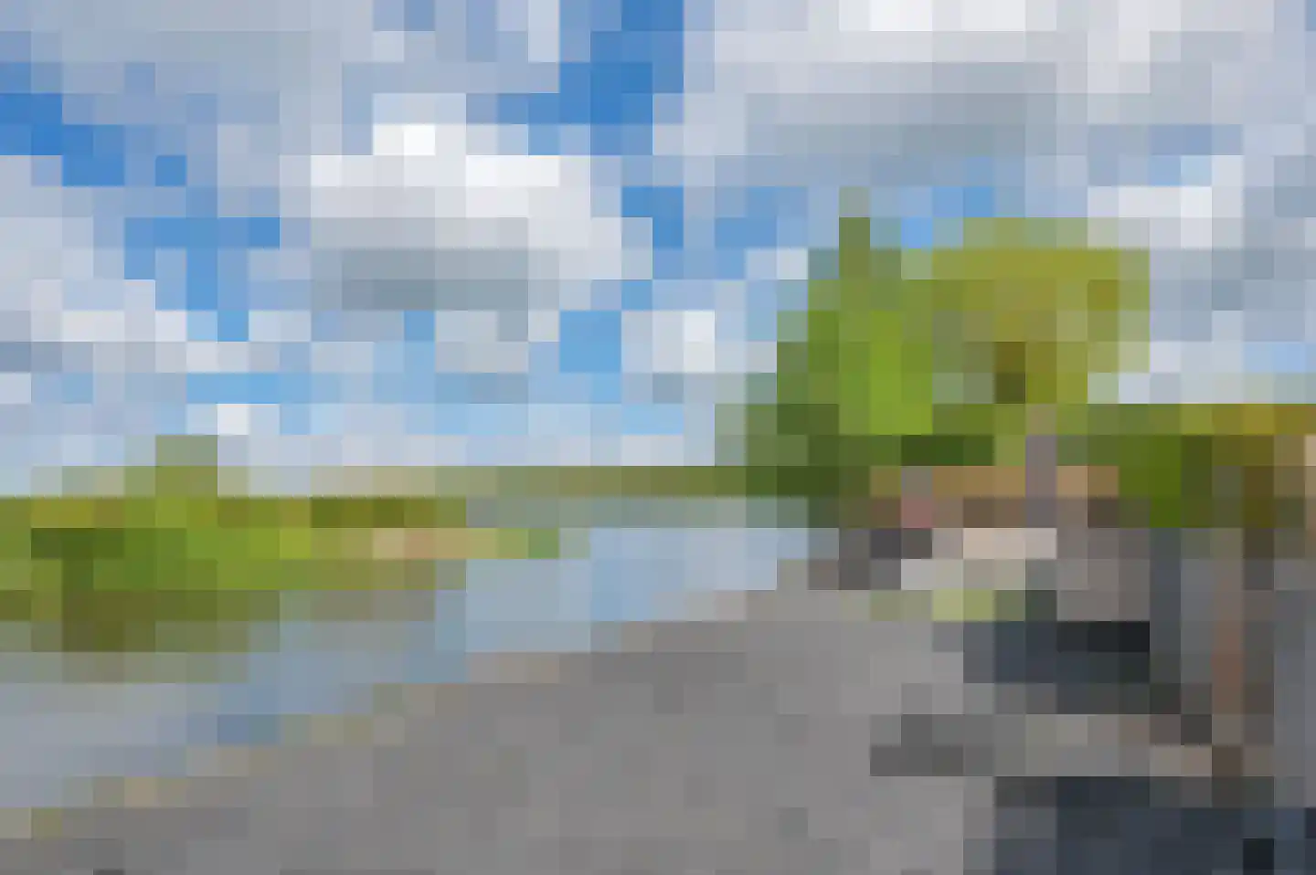 Meerkoet 1 Blauwestad thumbnail 67