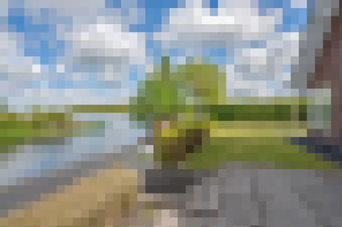 Meerkoet 1 Blauwestad thumbnail 69