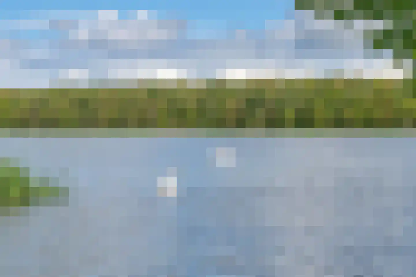Meerkoet 1 Blauwestad thumbnail 71